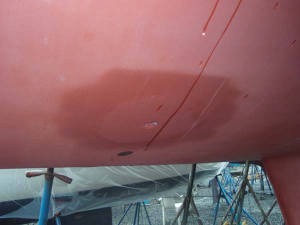 P5030003